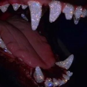 Meet your Posher, Castro